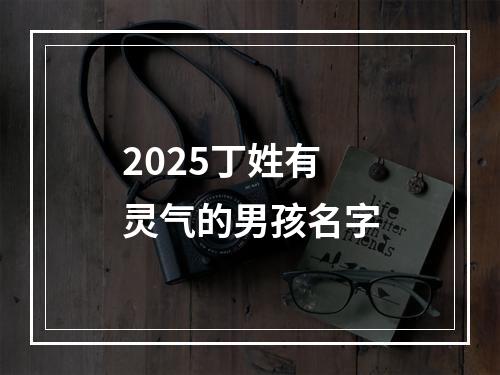 2025丁姓有灵气的男孩名字
