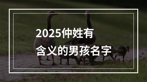 2025仲姓有含义的男孩名字