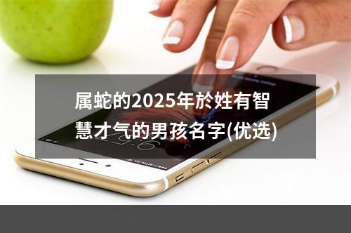 属蛇的2025年於姓有智慧才气的男孩名字(优选)