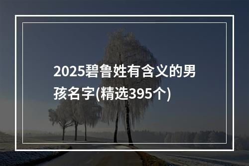 2025碧鲁姓有含义的男孩名字(精选395个)