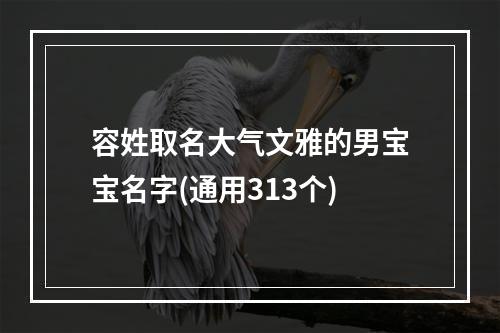 容姓取名大气文雅的男宝宝名字(通用313个)