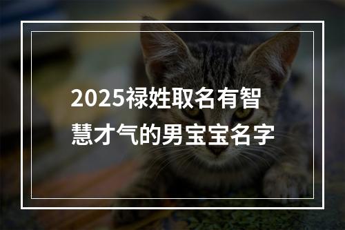 2025禄姓取名有智慧才气的男宝宝名字