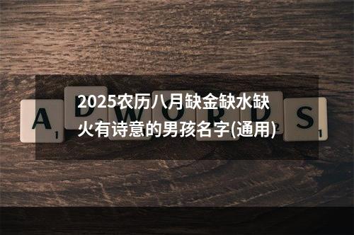 2025农历八月缺金缺水缺火有诗意的男孩名字(通用)
