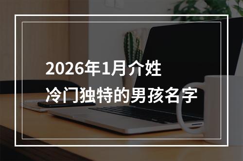 2026年1月介姓冷门独特的男孩名字
