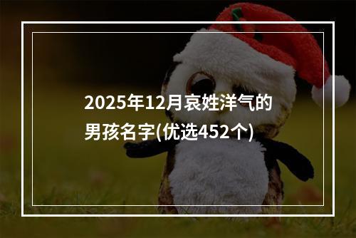 2025年12月哀姓洋气的男孩名字(优选452个)
