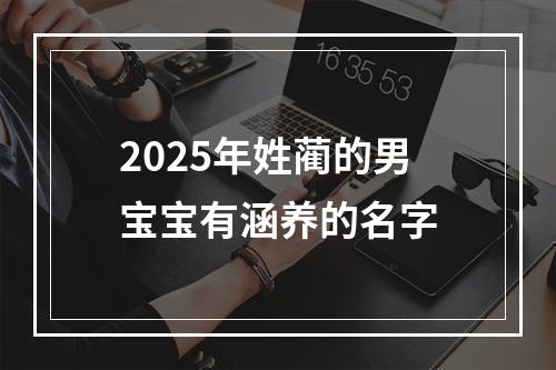2025年姓蔺的男宝宝有涵养的名字