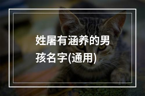 姓屠有涵养的男孩名字(通用)