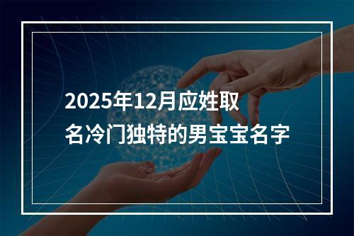 2025年12月应姓取名冷门独特的男宝宝名字