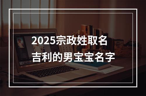 2025宗政姓取名吉利的男宝宝名字