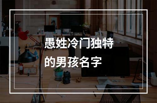 愚姓冷门独特的男孩名字