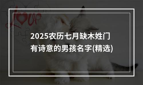 2025农历七月缺木姓门有诗意的男孩名字(精选)