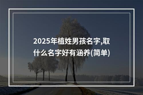 2025年植姓男孩名字,取什么名字好有涵养(简单)