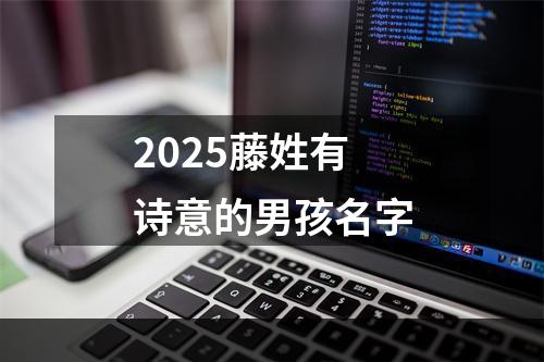 2025藤姓有诗意的男孩名字
