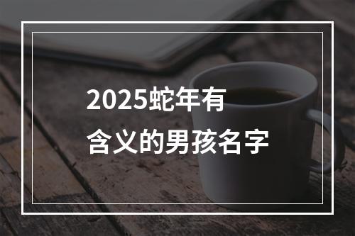 2025蛇年有含义的男孩名字