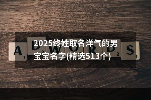 2025终姓取名洋气的男宝宝名字(精选513个)