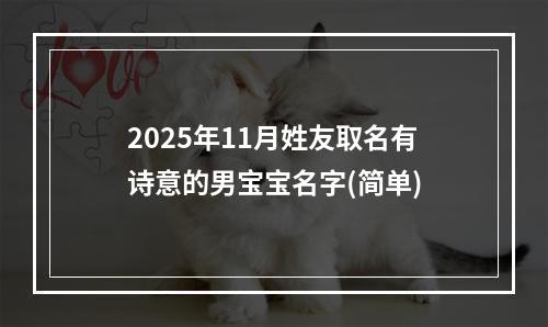 2025年11月姓友取名有诗意的男宝宝名字(简单)