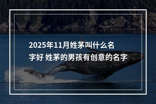 2025年11月姓茅叫什么名字好 姓茅的男孩有创意的名字