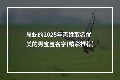 属蛇的2025年斋姓取名优美的男宝宝名字(精彩推荐)