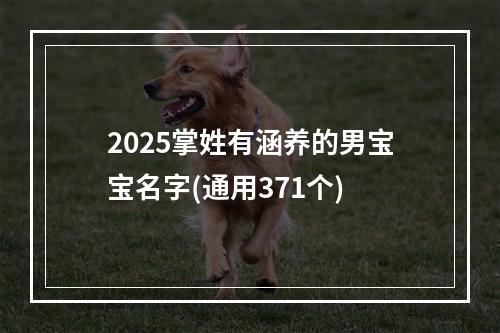 2025掌姓有涵养的男宝宝名字(通用371个)