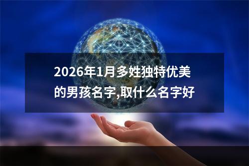 2026年1月多姓独特优美的男孩名字,取什么名字好
