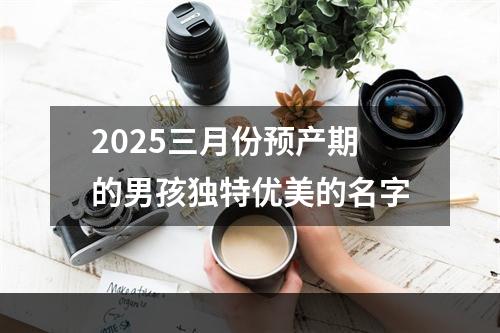 2025三月份预产期的男孩独特优美的名字