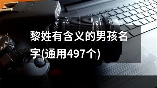 黎姓有含义的男孩名字(通用497个)