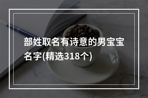 部姓取名有诗意的男宝宝名字(精选318个)