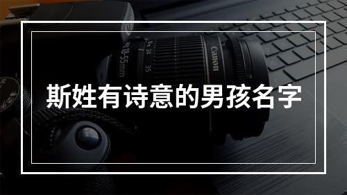 斯姓有诗意的男孩名字