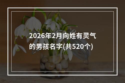 2026年2月向姓有灵气的男孩名字(共520个)