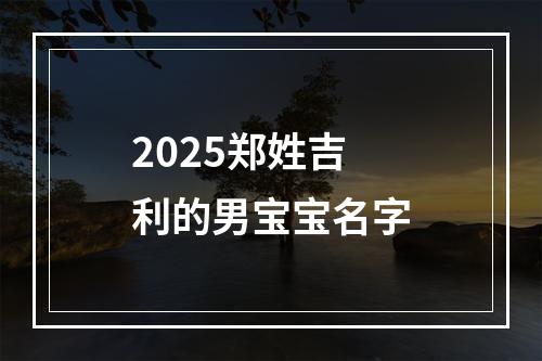 2025郑姓吉利的男宝宝名字