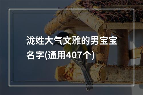 泷姓大气文雅的男宝宝名字(通用407个)
