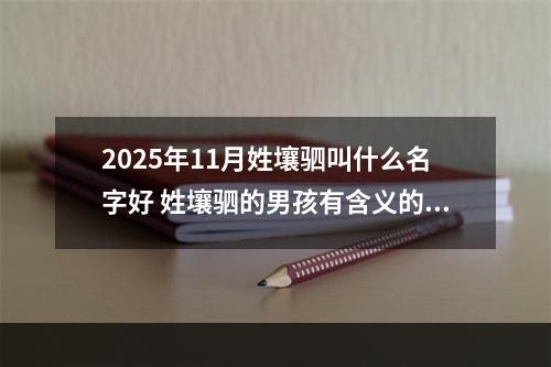 2025年11月姓壤驷叫什么名字好 姓壤驷的男孩有含义的名字
