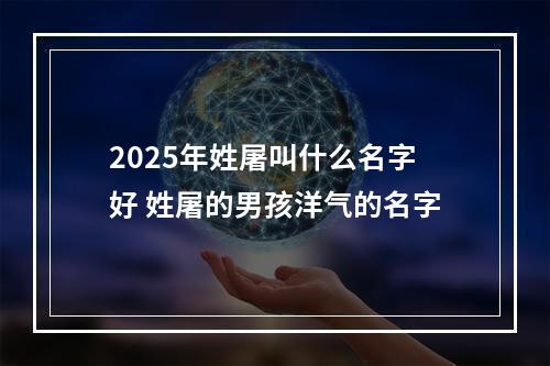 2025年姓屠叫什么名字好 姓屠的男孩洋气的名字