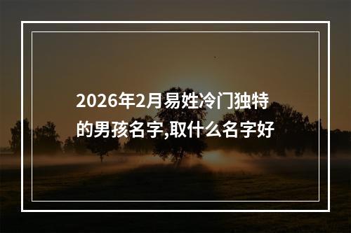 2026年2月易姓冷门独特的男孩名字,取什么名字好