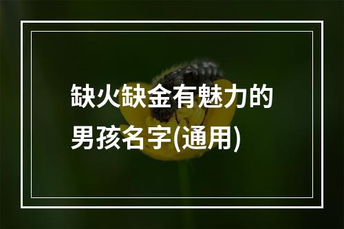 缺火缺金有魅力的男孩名字(通用)