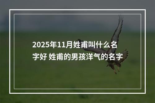2025年11月姓甫叫什么名字好 姓甫的男孩洋气的名字