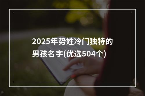 2025年势姓冷门独特的男孩名字(优选504个)