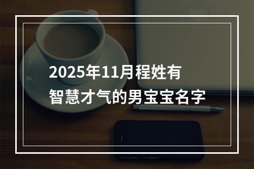 2025年11月程姓有智慧才气的男宝宝名字