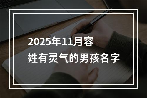 2025年11月容姓有灵气的男孩名字