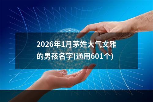 2026年1月茅姓大气文雅的男孩名字(通用601个)