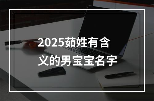 2025茹姓有含义的男宝宝名字