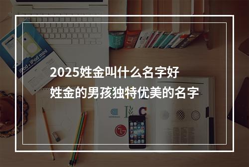 2025姓金叫什么名字好 姓金的男孩独特优美的名字