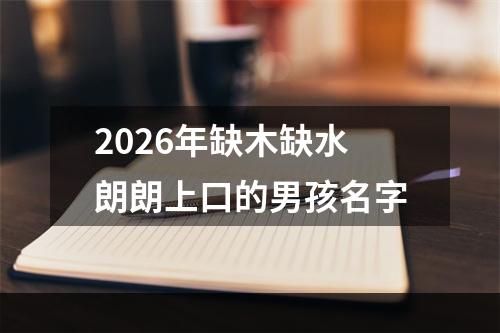 2026年缺木缺水朗朗上口的男孩名字