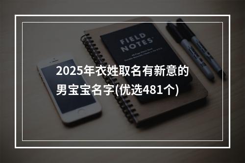 2025年衣姓取名有新意的男宝宝名字(优选481个)