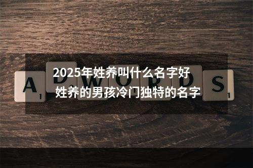2025年姓养叫什么名字好 姓养的男孩冷门独特的名字
