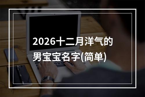 2026十二月洋气的男宝宝名字(简单)