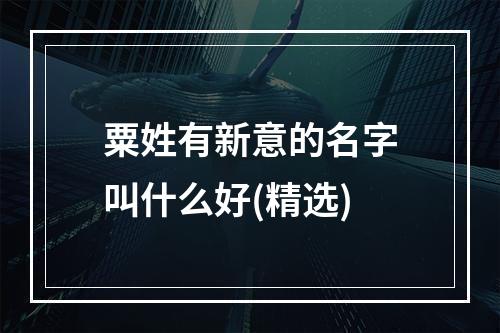 粟姓有新意的名字叫什么好(精选)