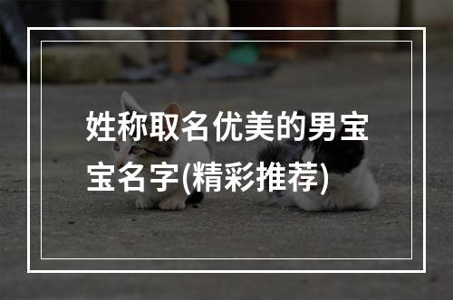 姓称取名优美的男宝宝名字(精彩推荐)