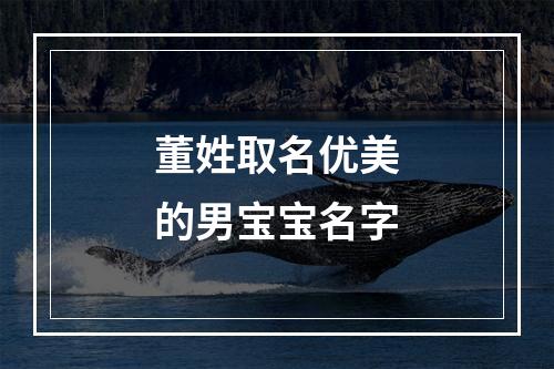 董姓取名优美的男宝宝名字