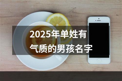 2025年单姓有气质的男孩名字
